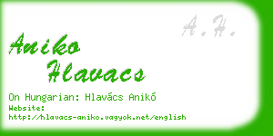 aniko hlavacs business card