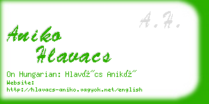 aniko hlavacs business card